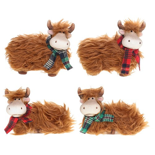 Highland Coo hairy posing small