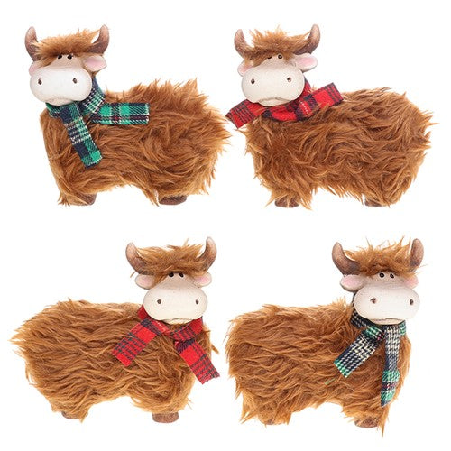 Highland Coo standing small